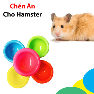 1 chén ăn nhiều màu cho hamster-rat-đuôi mập