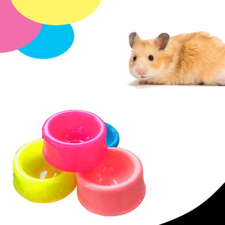 1 chén ăn nhiều màu cho hamster-rat-đuôi mập
