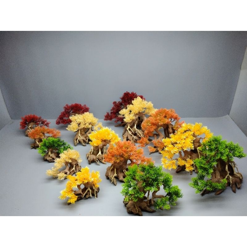 Cây gỗ lũa Bonsai tán Tùng cho hồ nhỏ ]