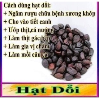 Hạt dổi nếp cổ thụ Tây Bắc