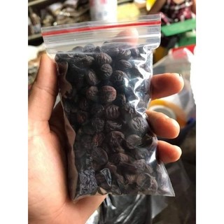 Hạt dổi nếp cổ thụ Tây Bắc