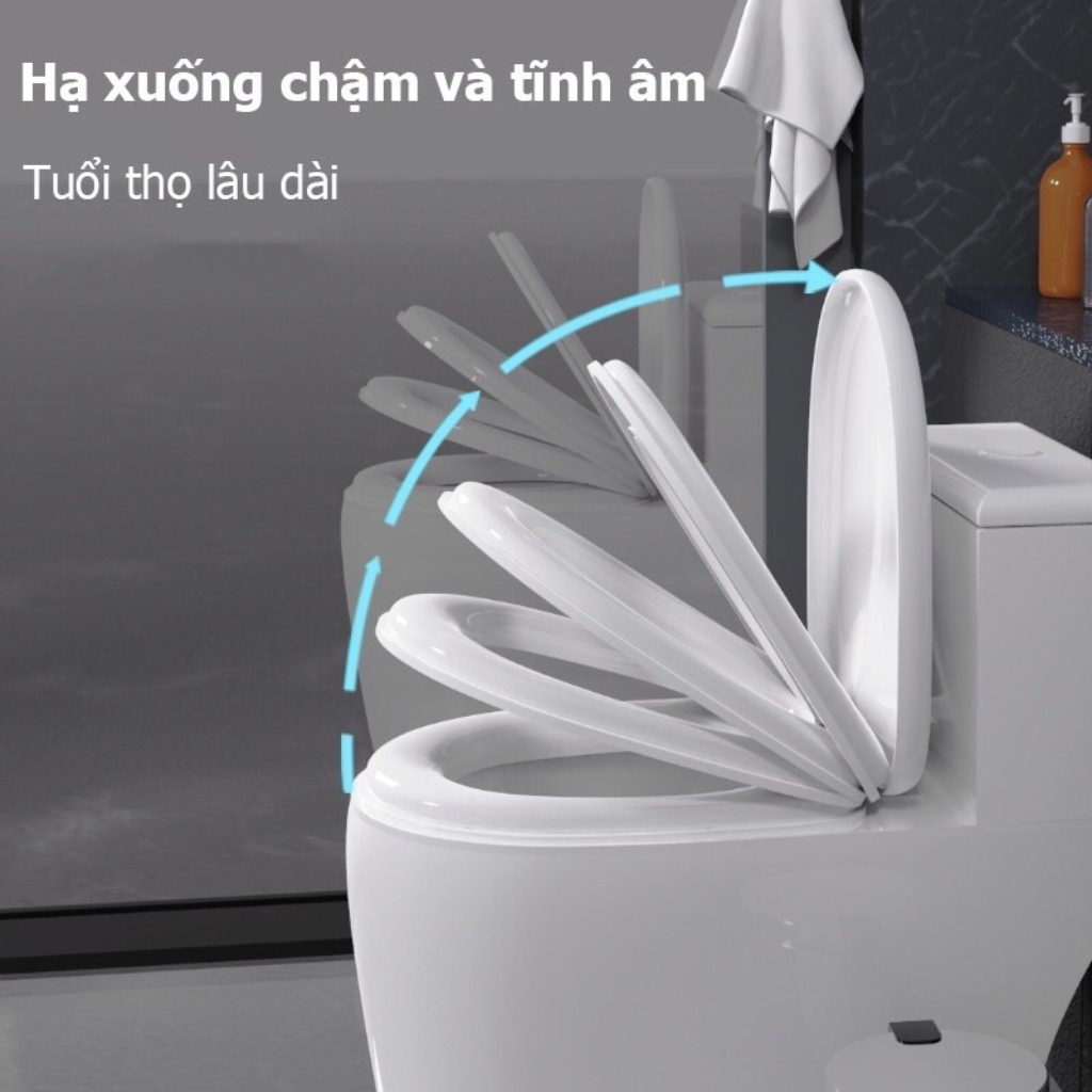 Nắp bồn cầu đủ bộ, bồn cầu nhà vệ sinh WC cao cấp VVN635