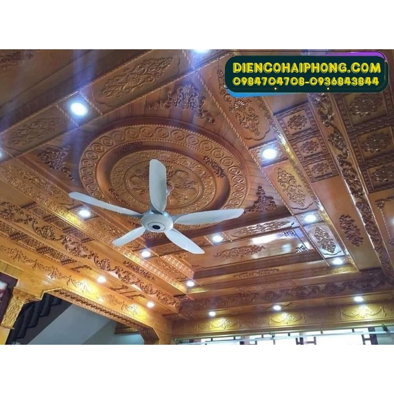 Quạt trần Panasonic F-60WWK