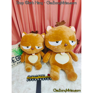 Mèo bông dinga lông mềm mịn - hàng cao cấp | 100% gòn - ảnh chụp trực tiếp tại shop gấu bông gaubongminiso.com