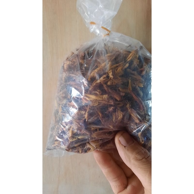 cào cào sấy khô.