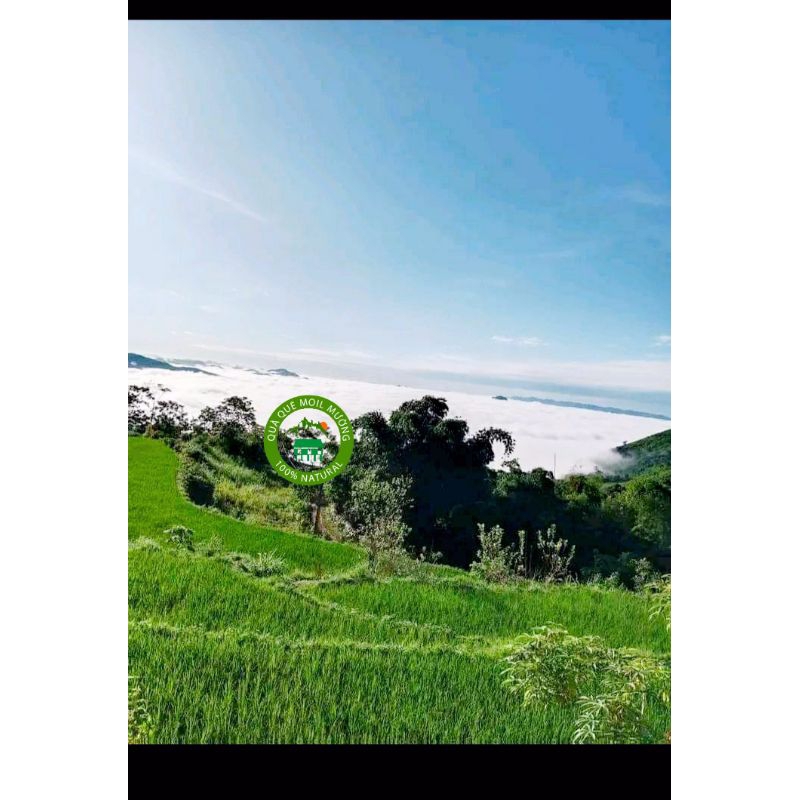 LÚA NƯƠNG - Gạo Tẻ