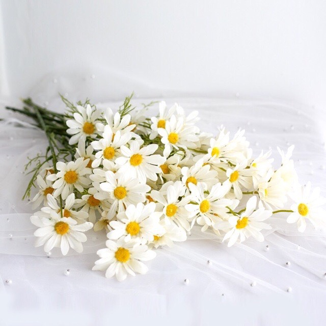 Hoa giả hoa cúc hoạ mi hà lan siêu đẹp