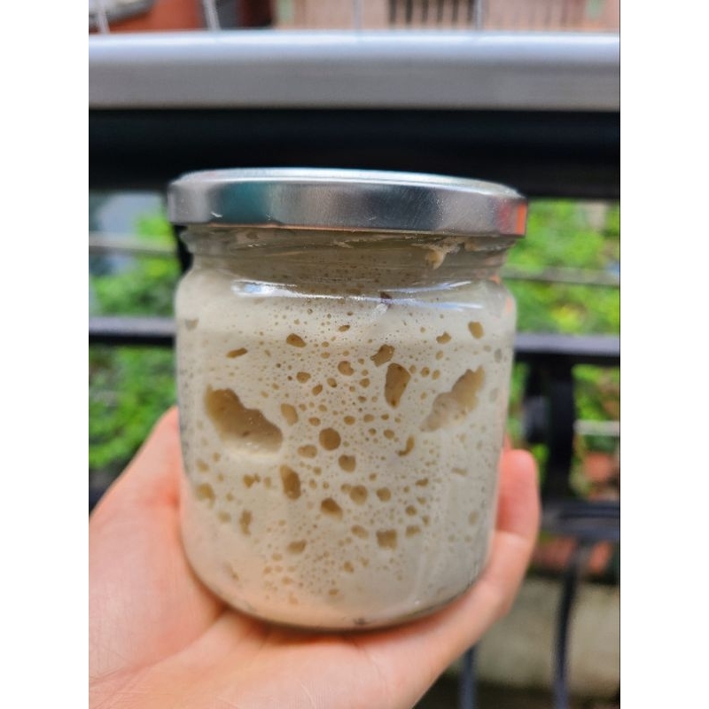 men tự nhiên sourdough làm bánh