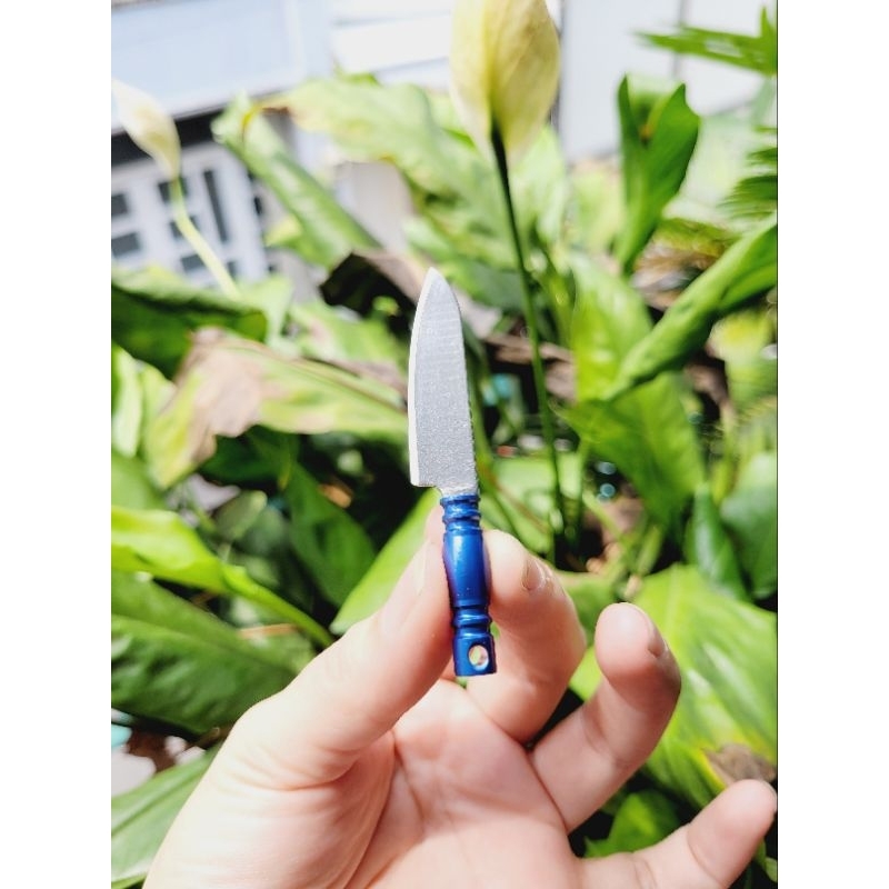 Dao Kiểu Mới Cán Màu dành cho nấu ăn mini