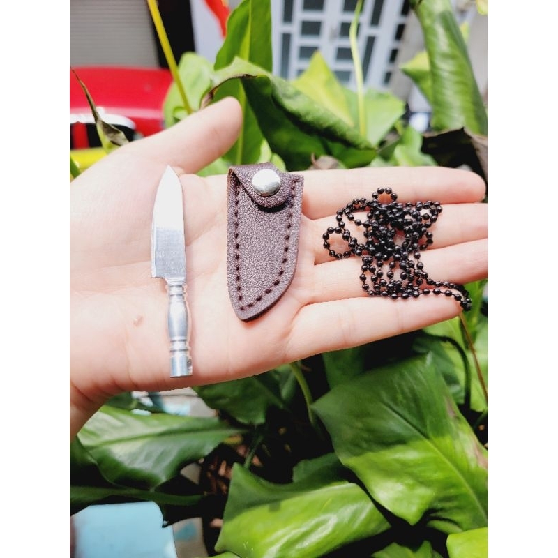 Dao Kiểu Mới Cán Màu dành cho nấu ăn mini