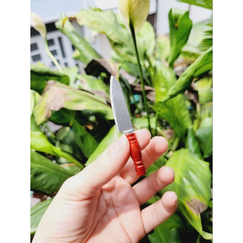 Dao Kiểu Mới Cán Màu dành cho nấu ăn mini