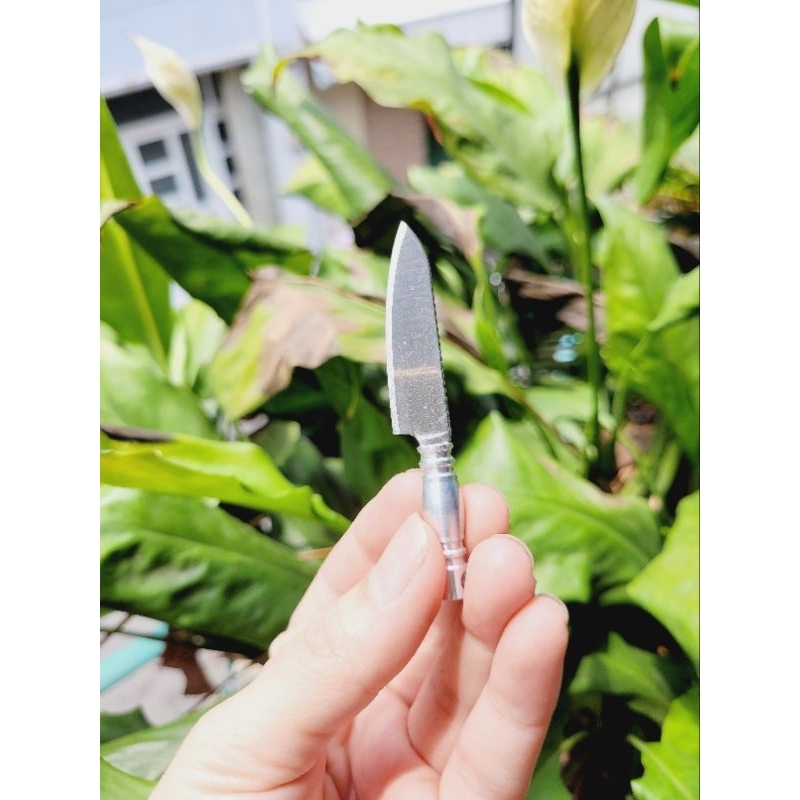 Dao Kiểu Mới Cán Màu dành cho nấu ăn mini