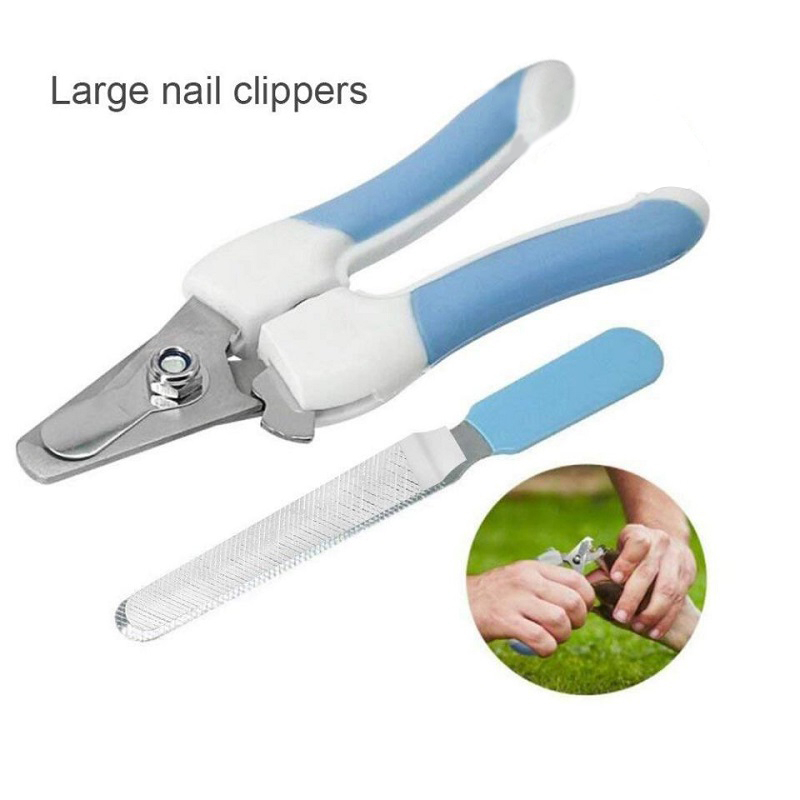 Combo kìm cắt dũa móng cho chó mèo