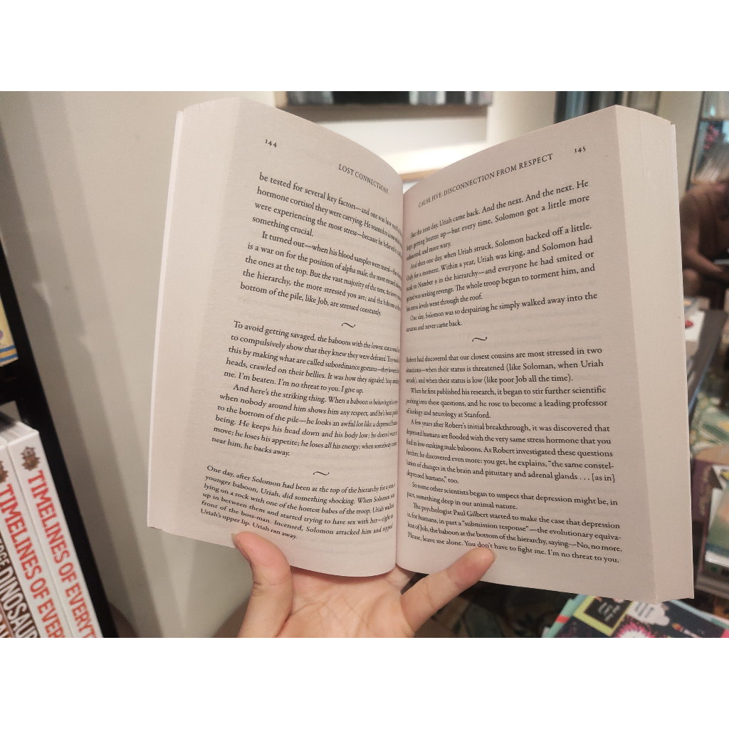 Sách - Lost Connections