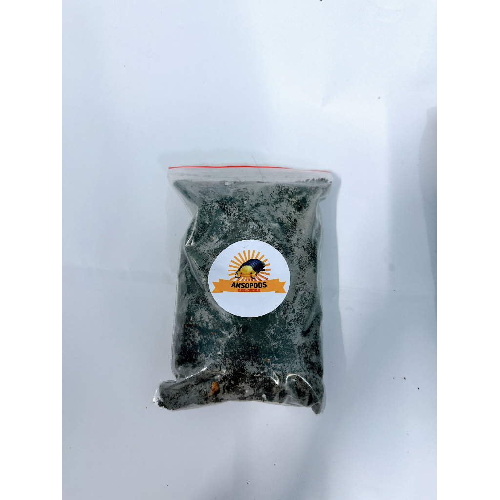 Đất nền nuôi Isopod , nhện , kiến , rết