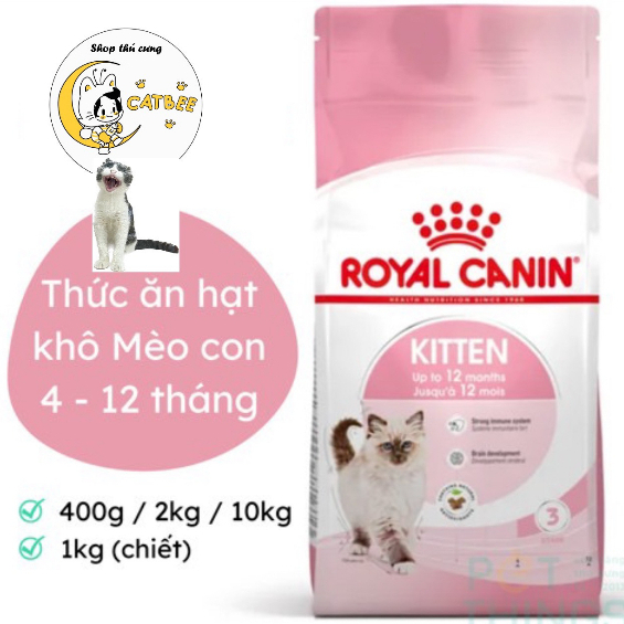 Hạt Kitten 36 Royal Canin Second Age dành cho Mèo con từ 4 - 12 tháng tuổi - ROYAL CANIN Kitten
