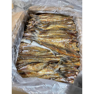 Cá mối cay ngọt, thơm ngon ăn cực ngon -1kg