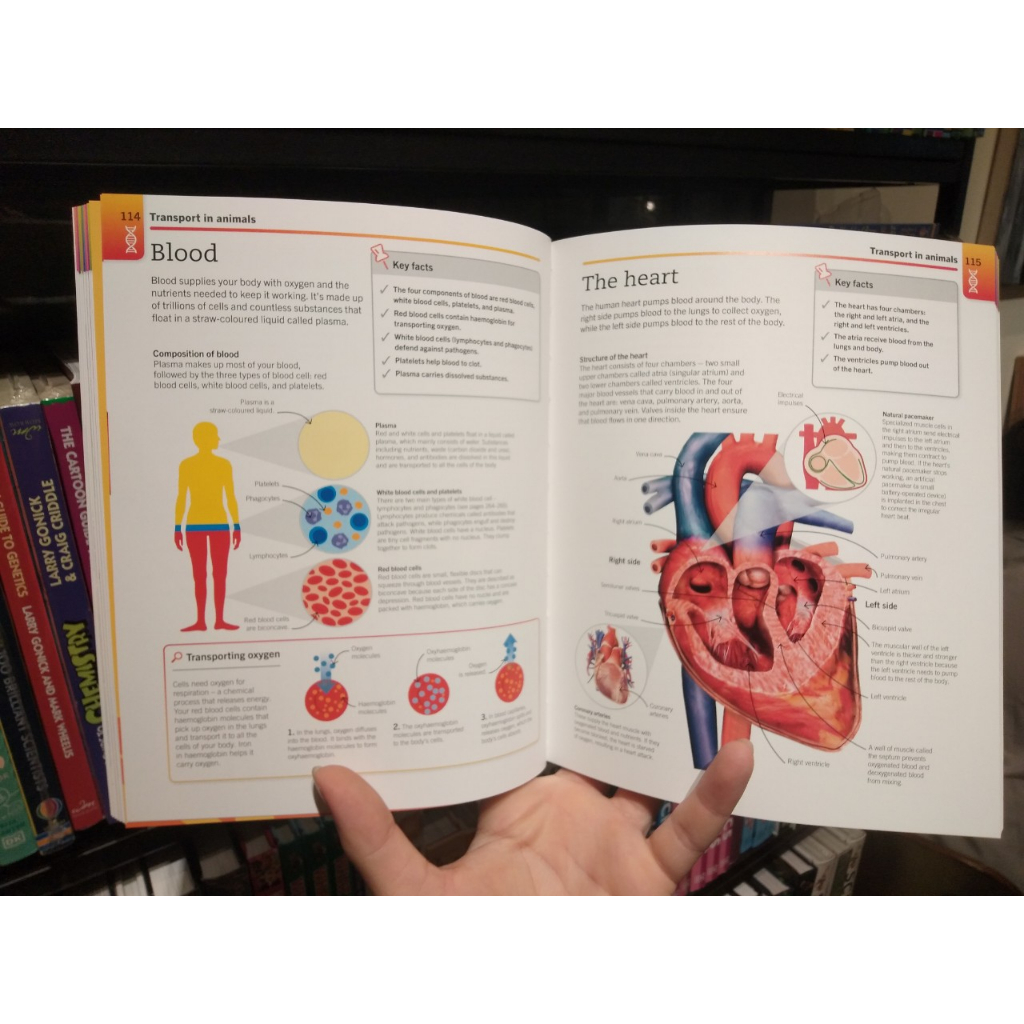 Sách - Super Simple Biology