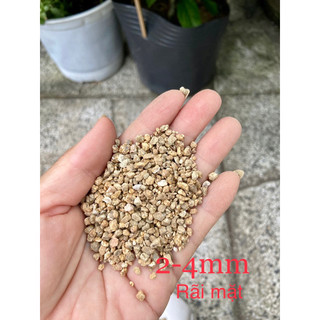 đá khoáng masato , giữ màu sen đá