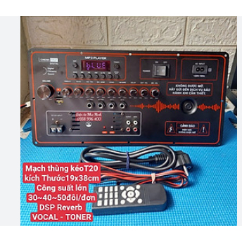 Mạch loa kéo Reverb chống hú DSP , 1 kênh+ 250W  280w   max  400w    kèm 2 micro kim loại chống hú t21 t30