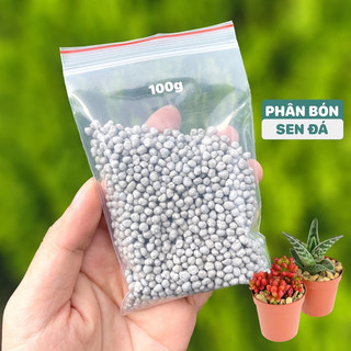 Phân tan chậm - phân bón sen đá tốt nhất