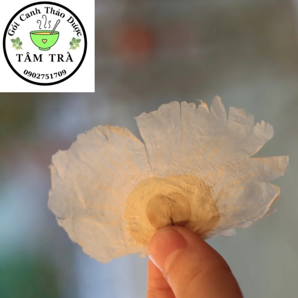 Thiên Tầng Chỉ - Mộc Hồ Điệp