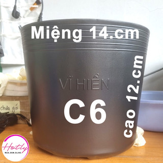 100 Chậu nhựa C6 trồng cây và ươm cây giống miệng.cao 14x12 cm -77100