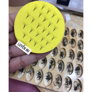 Mút tạo fan