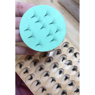 Mút Tạo Fan