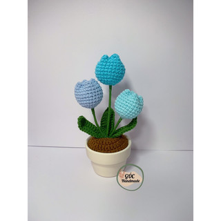 Chậu hoa tulip 3 bông