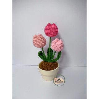 Chậu hoa tulip 3 bông