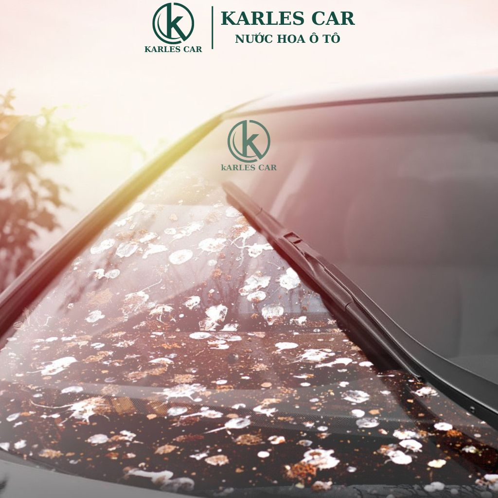 Viên Sủi Rửa Kính Xe Ô Tô, Viên Nén Pha Nước Rửa Kính Oto