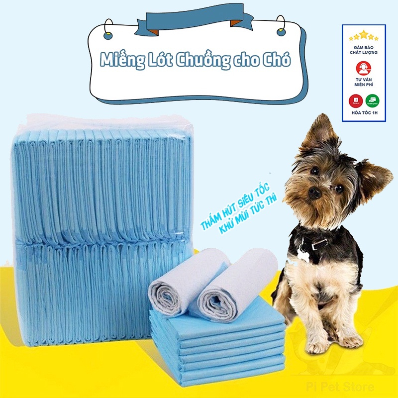 Bịch tã lót thường / Tã lót than hoạt tính chuồng vệ sinh cho chó mèo, thấm hút tốt, đủ size S,M,L,XL