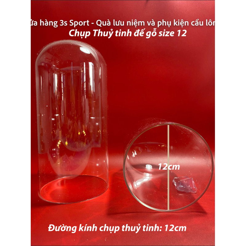 Chụp thuỷ tinh đế gỗ kích thước lớn có đèn