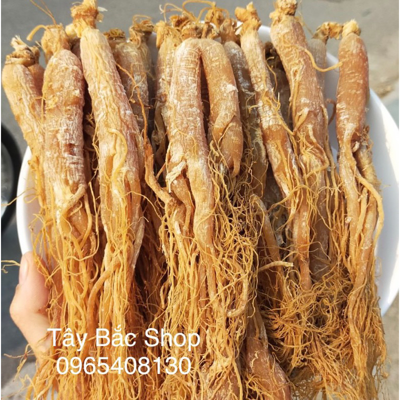 Hồng Sâm Sấy Dẻo ( Thơm Ngon Chuẩn )