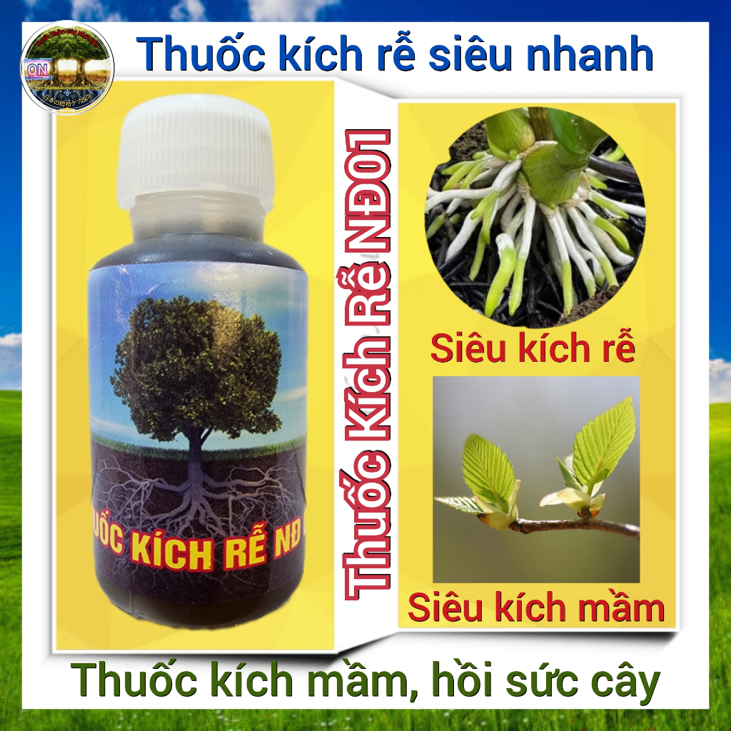 Chất Kích Rễ Cây NĐ 01: Siêu kích rễ, Ươm hạt, cây non, Cây sinh trưởng nhanh, dung lượng 30ml/lọ.