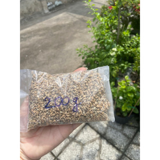 đá khoáng masato , giữ màu sen đá