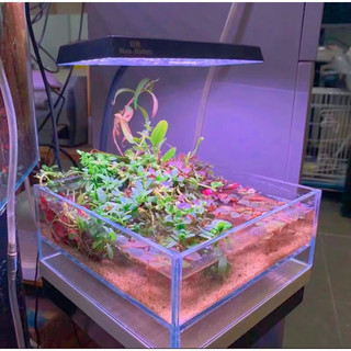 ĐÈN FLAT NANO S3 PLUS RGB