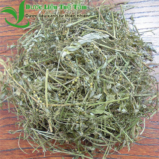 Cây chó đẻ khô - Diệp hạ châu khô - Sản phẩm hữu cơ tự nhiên đạt chuẩn ATTP - Gói 1kg