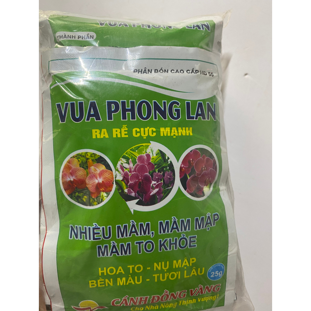 Vua phong lan HD55