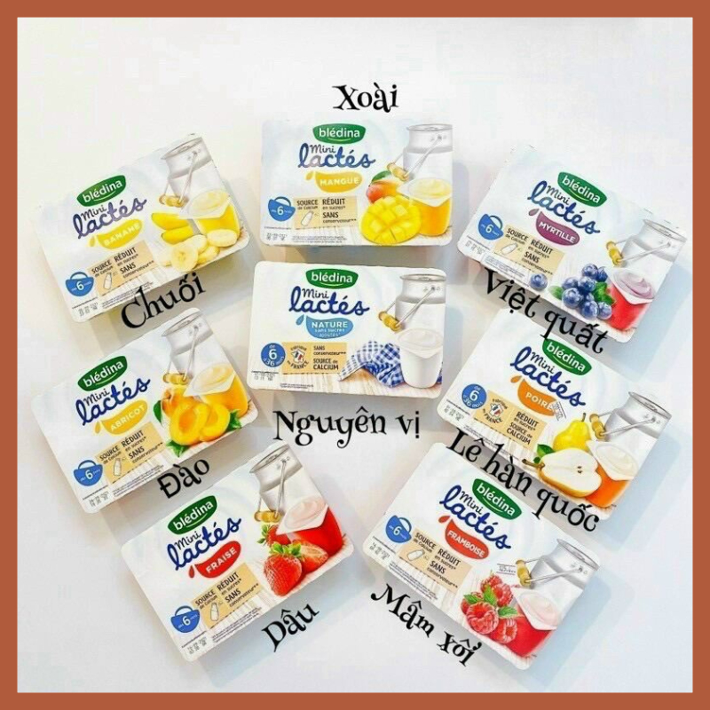 Sữa chua Bledina Pháp