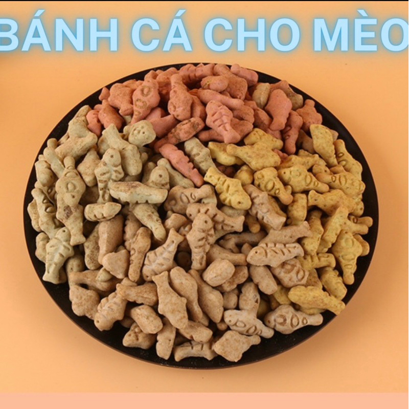 Bánh cá CATNIP cho mèo gói 100g giúp sạch răng tiêu búi lông
