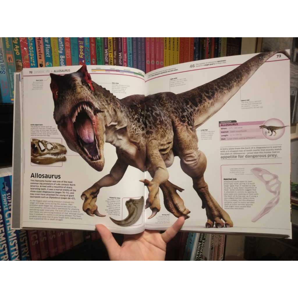 Sách - Knowledge Encyclopedia Dinosaur