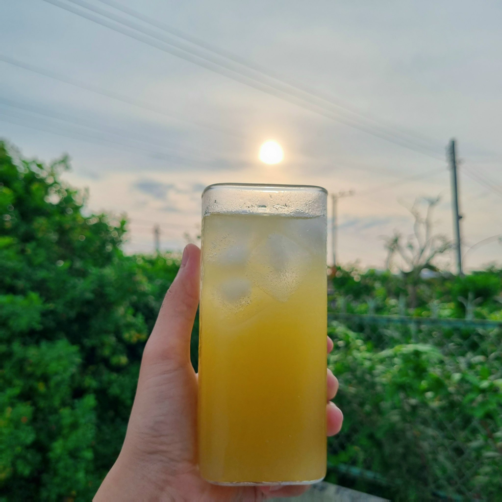 Nước mía tươi sấy Yo'V Vinamit hộp 100g nước mía hữu cơ 100% phiên bản mới