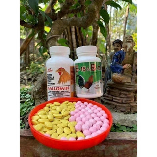 GALLOMIN & B15-B12 - (Bộ đôi thuốc nuôi Gà Đá chất lượng)