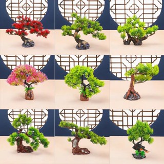 Cây giả trang trí món ăn/ Cây tùng, cây san hô giả, hoa đào giả/ Đồ trang trí sashimi