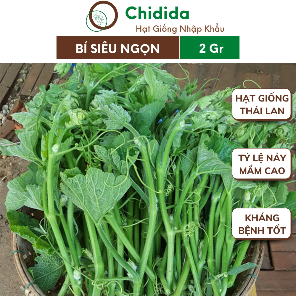 Hạt giống bí siêu ngọn Chidida giống rau bí lấy ngọn Thái Lan gói 2gr dễ trồng chịu nhiệt kháng bệnh tốt