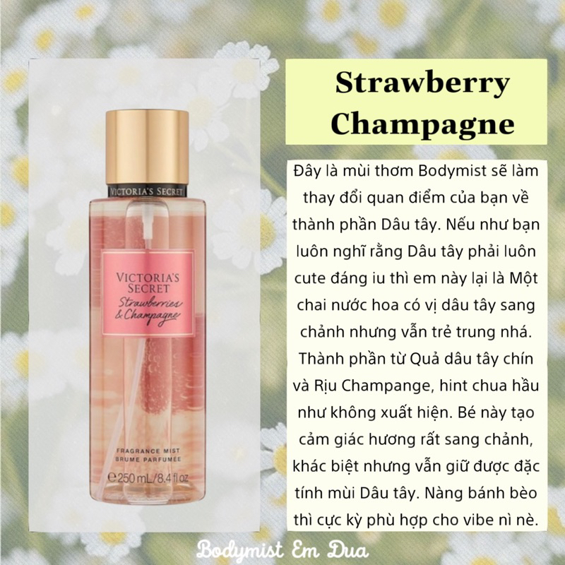 Xịt Thơm Toàn Thân - STRAWBERRY CHA.M PAGNE