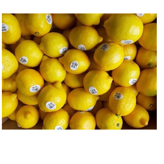 Chanh vàng nhập khẩu từ Mỹ