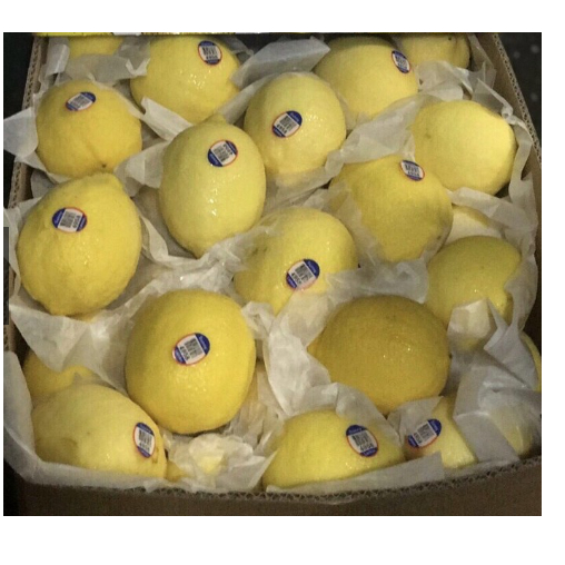 Chanh vàng nhập khẩu từ Mỹ